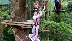 Tree Top Manchester
